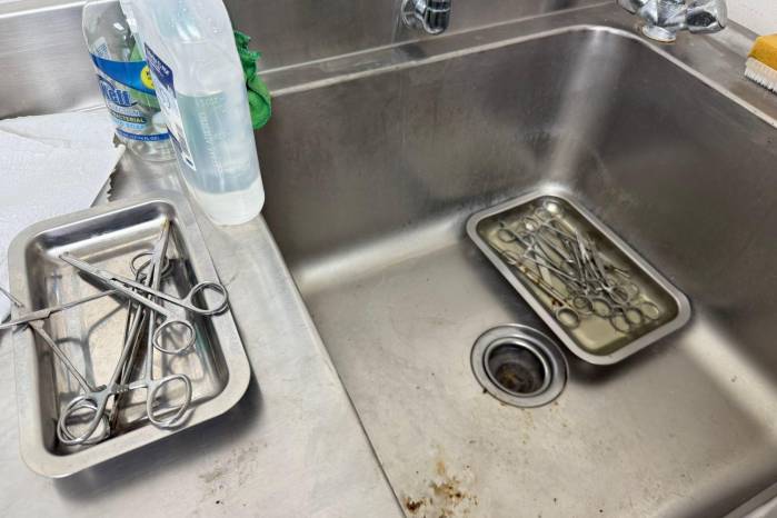 El cuidado animal en Summit: dentro de la clínica que protege a la fauna silvestre