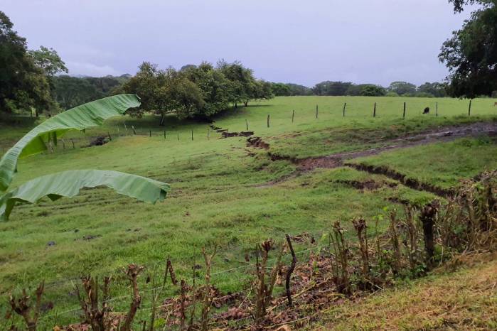 Evaluación de los desplazamientos de terreno y grietas causados por la falla de Azuero-Soná.