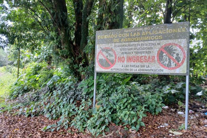La contaminación por agroquímicos es un temor cotidiano en la ciudad de Changuinola.