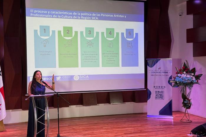 La consultora Gloria Lezcano presentó los resultados de la elaboración de la política pública.