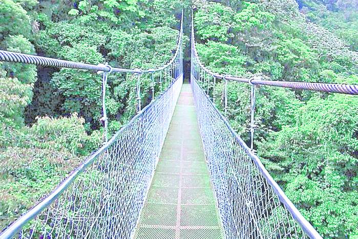 La construcción de nuevos puentes avanza mediante contratación directa, sin cotización ni competencia y con un precio de hasta medio millón por zarzo.