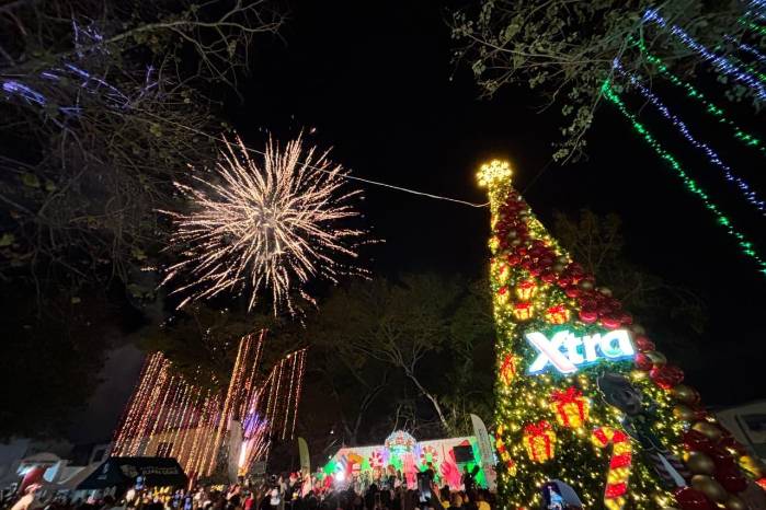 Los asistentes disfrutaron en el parque de actividades para toda la familia, incluyendo shows, snacks, villancicos y dinámicas navideñas
