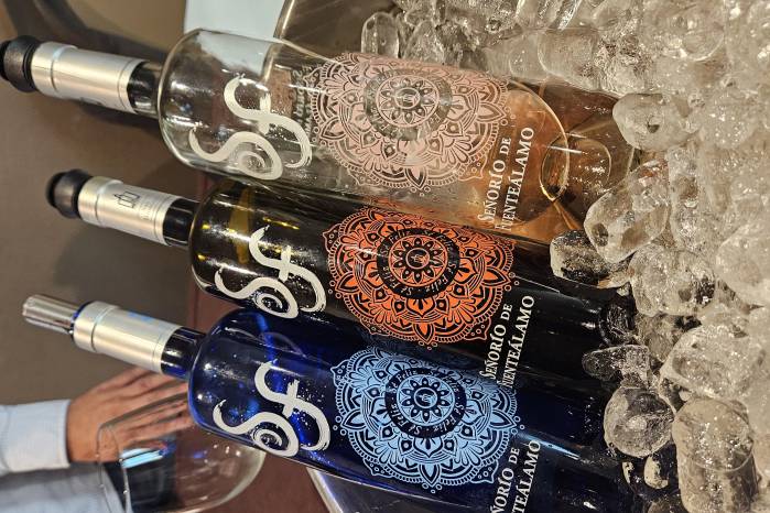 Oferta de vinos de Bodegas san Dionisio.