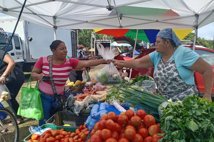 Agroferia del IMA en el sector de Barú en la provincia de Chiriquí.