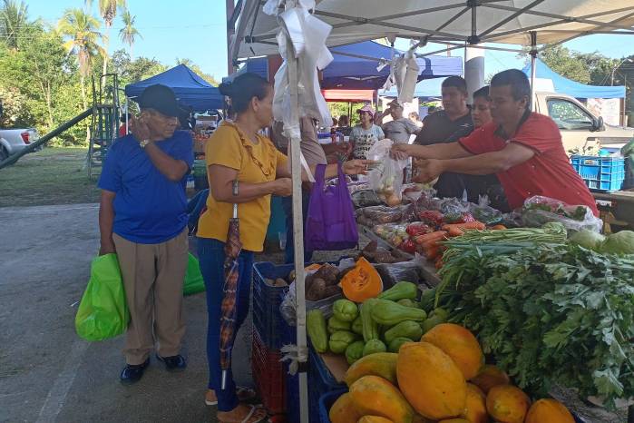 Productores panameños ofreciendo sus productos en agroferia del IMA.