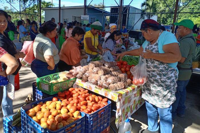 Feria del IMA en Boquete, provincia de Chiriquí.