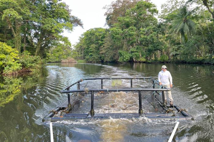 Dr. Héctor Guzmán durante el trabajo de campo. La jaula flotante se centró a una profundidad de 3 m a 5 m.