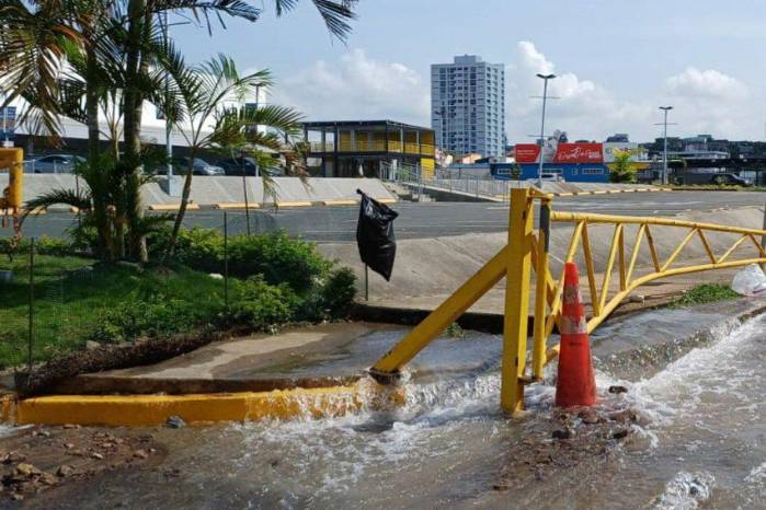 Grandes cantidades de agua potable se pierden por roturas de tubería.