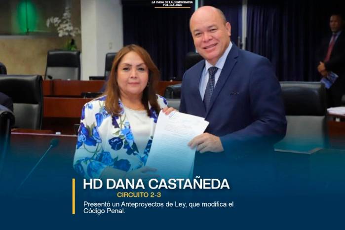 La diputada de Cambio Democrático Dana Castañeda presentó un anteproyecto de ley para reformar el Código Penal y sancionar el uso de inteligencia artificial en contenidos falsos que afecten el honor de las personas.
