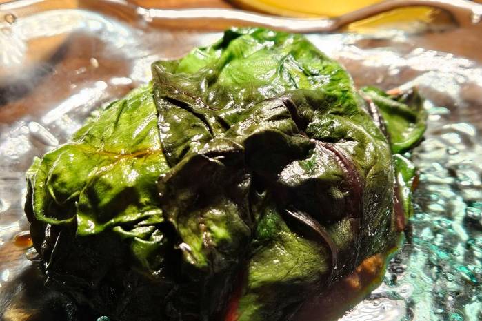 Chilcamiche, hongos, chicha.