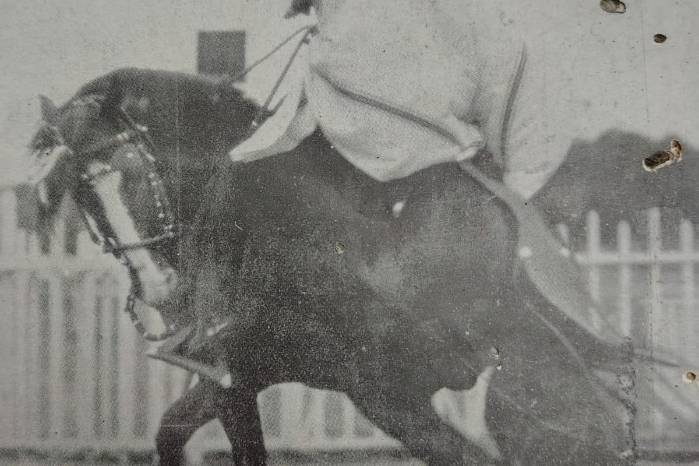 Lombardo en los Andes