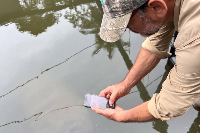 Un manatí se asoma en la jaula. La turbiedad del agua dificulta observar a los animales.