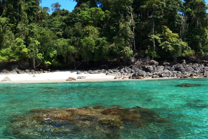 Panamá un paraíso turístico por conocer