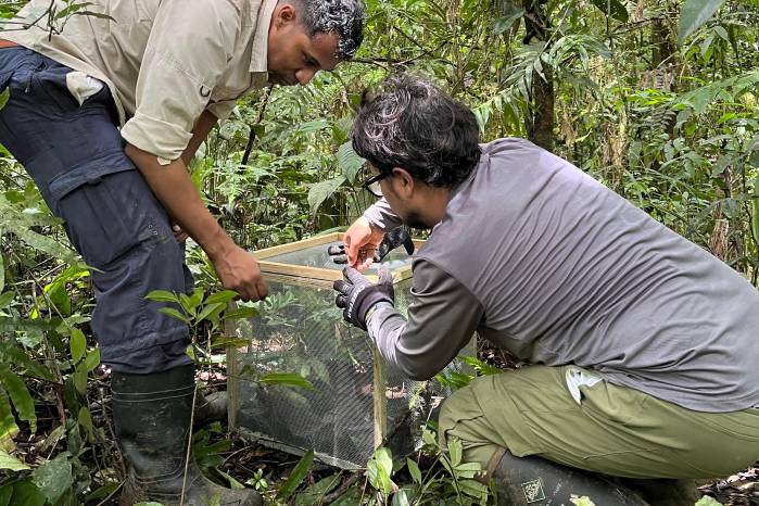 El estudiante de biología y del STRI, Oliver Granucci y el Lic. Orlando Garcés.