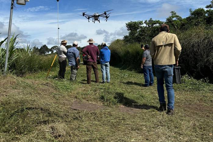 Trabajos de inspección del campo con los drones.