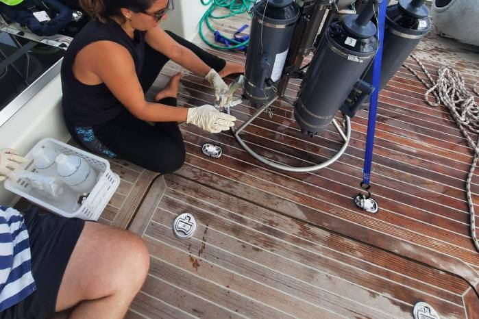 Para Alexandra la ciencia mejora cuando es diversa.