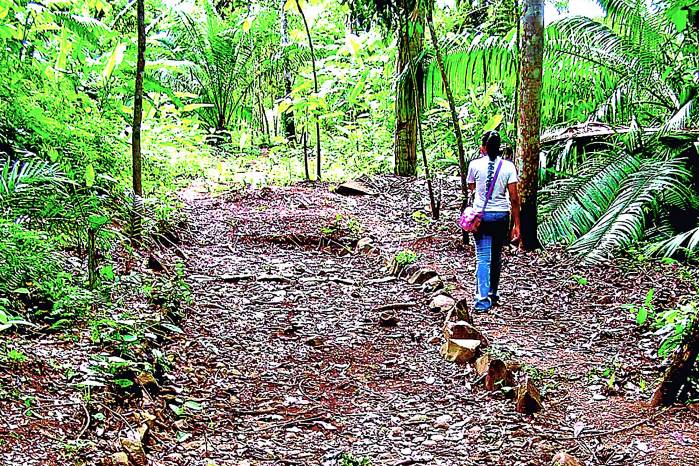 Ruta Colonial Transístmica será patrimonio mundial reconocido por la Unesco