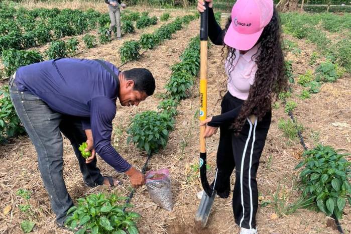El muestreo de suelo es la base para recomendaciones de manejo agrícola adaptadas a cada finca.