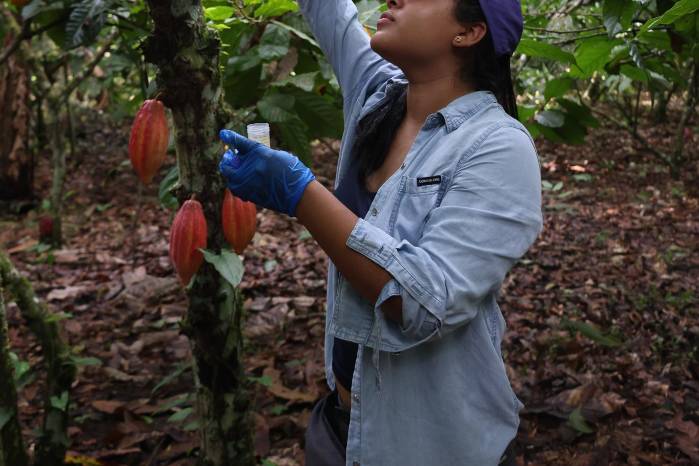 La Dra. Hilda Castillo