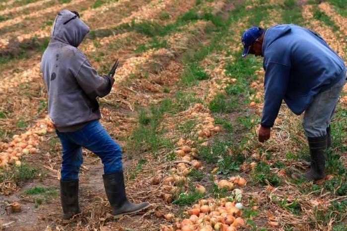 La ACPTA señala que esta ejecución íntegra y anticipada ha provocado una sobreoferta en el mercado local.