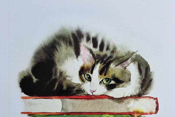 Para ‘The Times’, ‘El gato que decía adiós’, de Hiro Arikawa, es uno de los mejores libros del año.