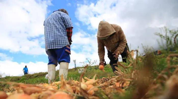 El Ejecutivo plantea crear un “ITSE agropecuario” para dotar al país de personal capacitado y mejorar la competitividad del campo.