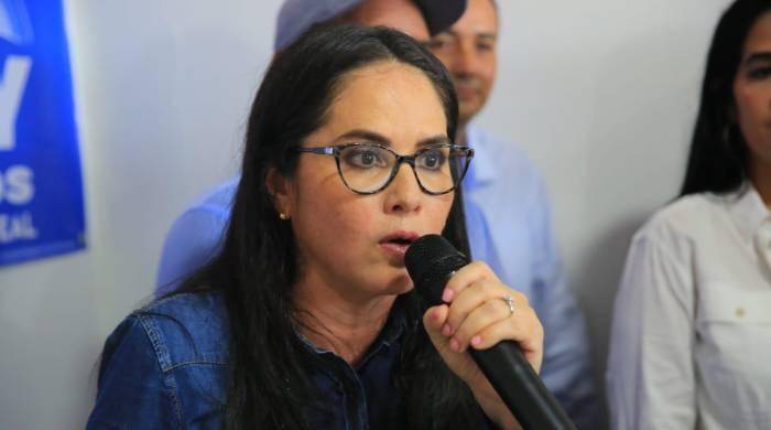 Rodríguez anunció el pasado 26 de febrero durante su primera intervención en el debate presidencial que había presentado su renuncia a la curul.