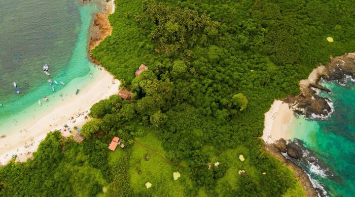 A siete kilómetros de la costa de Pedasí, está Isla Iguana, un refugio de vida silvestre con playas de arena blanca y agua cristalina.