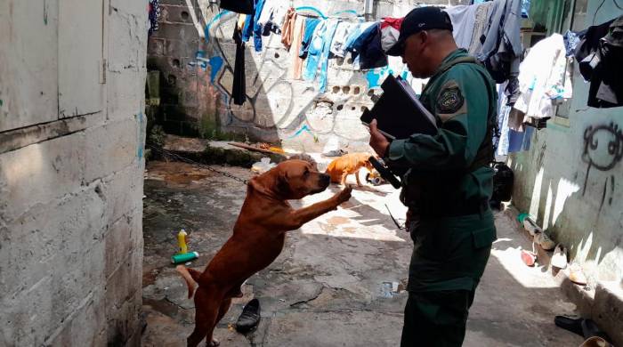 Un perro es rescatado por la Policía Nacional.