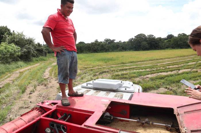 Cuando la tierra tiembla y el agro se estremece