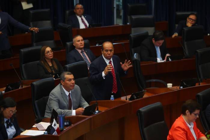 El pleno de la Asamblea Nacional.