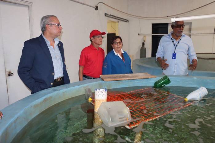 ARAP impulsa investigación acuícola