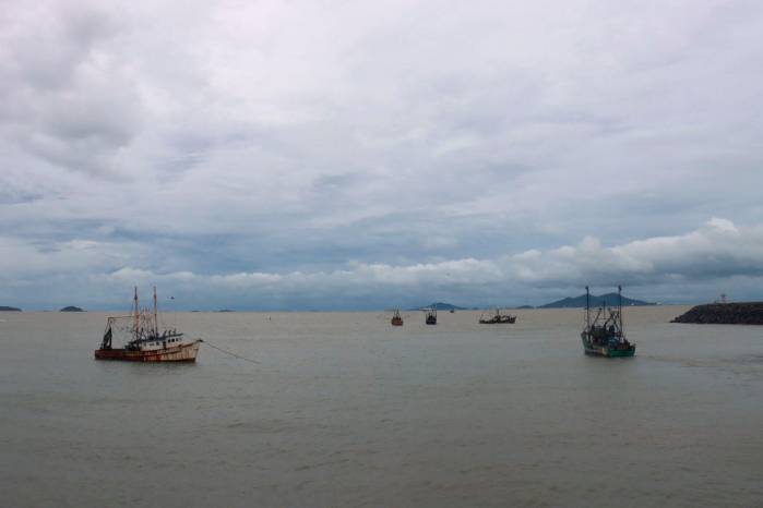 Los pescadores podrán reanudar la captura de camarón hasta el 31 de enero de 2026, cuando iniciará el próximo período de veda, programado del 1 de febrero al 11 de abril.