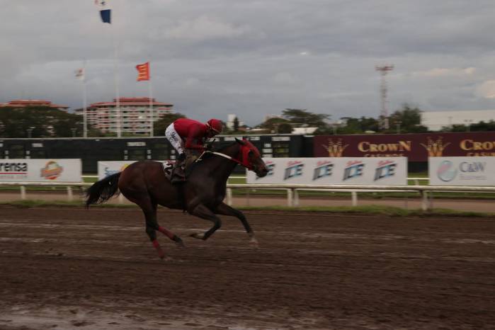 El ejemplar ‘Eagle In Love’, que busca repetir triunfo en la carrera, será el ejemplar a batir.
