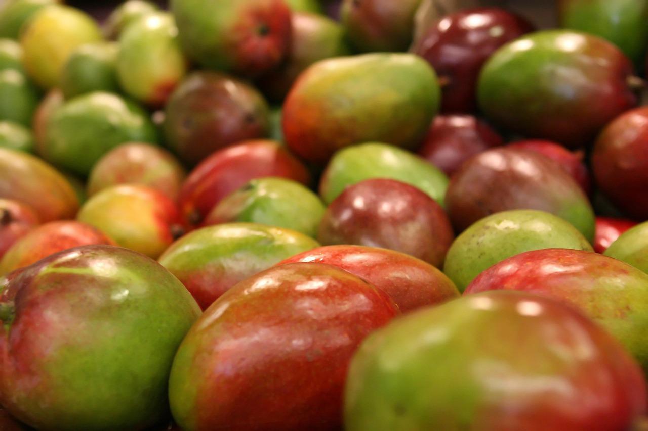 Alcaldesa de Arraiján organiza Feria del Mango: conozca los detalles aquí