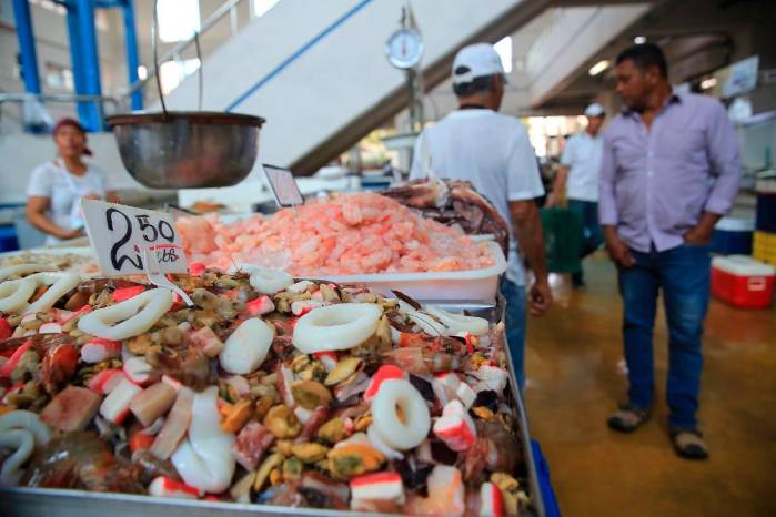 El sector pesquero representa un medio de vida para las personas que habitan en las zonas costeras y oceánicas de los países, por lo que es una pesca sostenible es crucial.