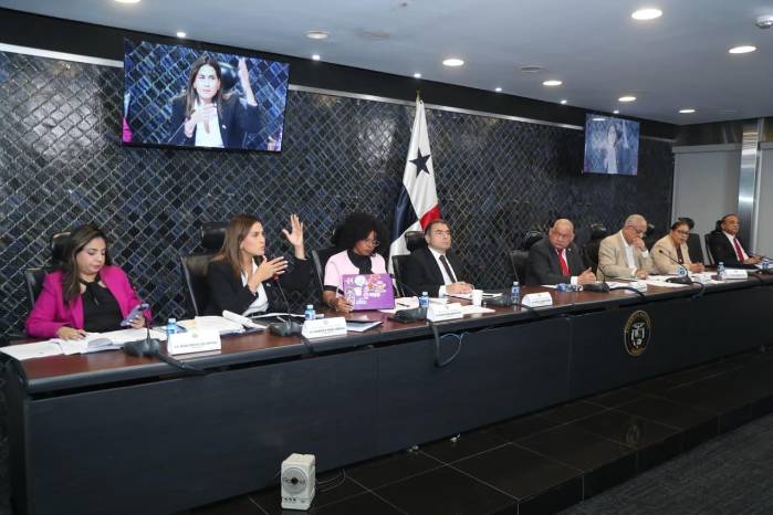 Comisión de Gobierno discute anteproyecto de ley sobre inteligencia artificial y difamación.