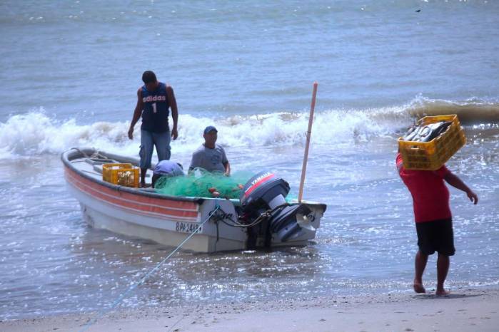 Pescar de forma responsable ayuda a preserva la biodiveridad marina, las economías y la seguridad alimentaria.