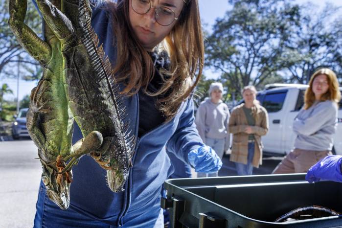 Clima extremo causa estragos en Europa y Estados Unidos