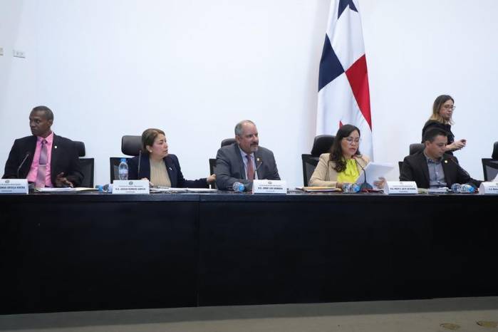 Herrera fue criticado por varios sectores políticos y de la sociedad civil organizada debido a que en su anteproyecto de ley hay un artículo que el aumentan las dietas.