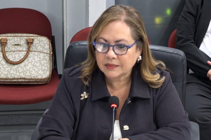 La directora Sheila de Arias pidió reformar las leyes vigentes para ampliar las facultades de fiscalización y prevención de la corrupción.
