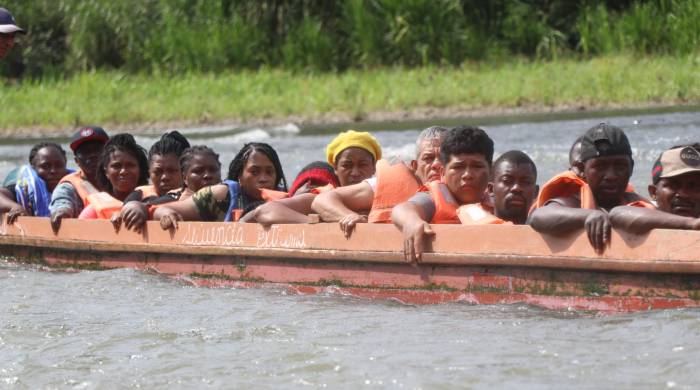 Medio millón de migrantes atravesaron la selva de Darién el año pasado.
