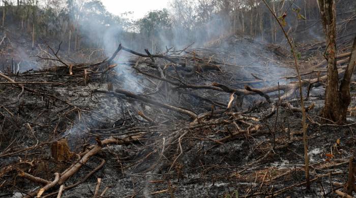 La quema y utilización de terrenos para actividades agrícolas ha puesto en riesgo el variado ecosistema del Darién.