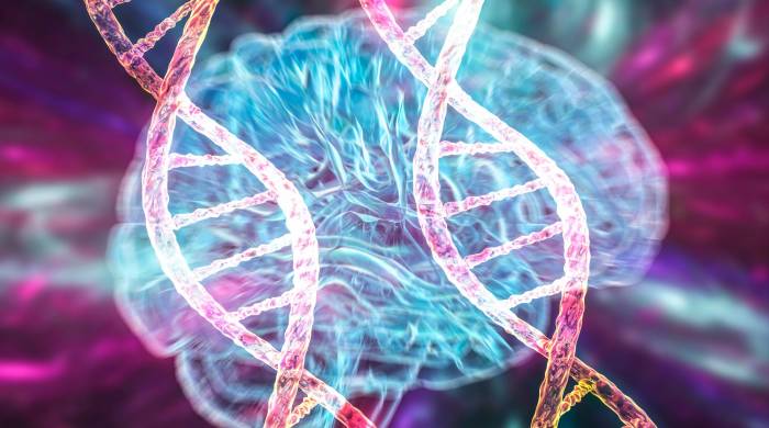 Investigadores identifican una molécula que puede ser clave en tratamiento de la ELA
