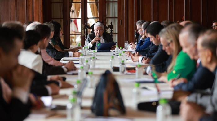 Mulino dio a conocer que se tuvo que cambiar el lugar de la reunión debido a una fluctuación en el suministro de energía en el Palacio de Las Garzas.