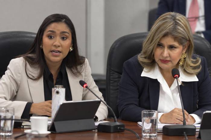 La diputada Yamirelis Chong pidió revisar la restitución de tres menores que, según afirmó, viven en condiciones inadecuadas.