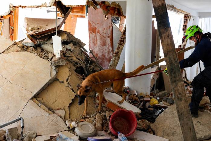 Ocho días entre los escombros: la misión de los rescatistas panameños y sus unidades caninas en Venezuela