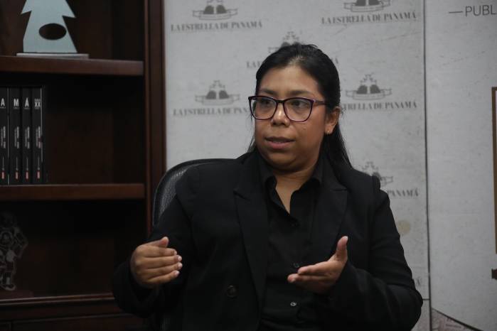Paula Mesé, directora de Regulación de Hidrocarburos y Energías Alternativas de la SNE