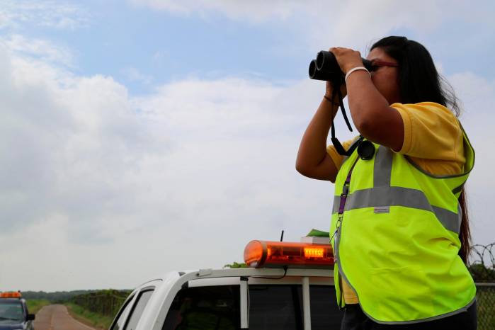Tocumen emite alerta preventiva por migración de aves