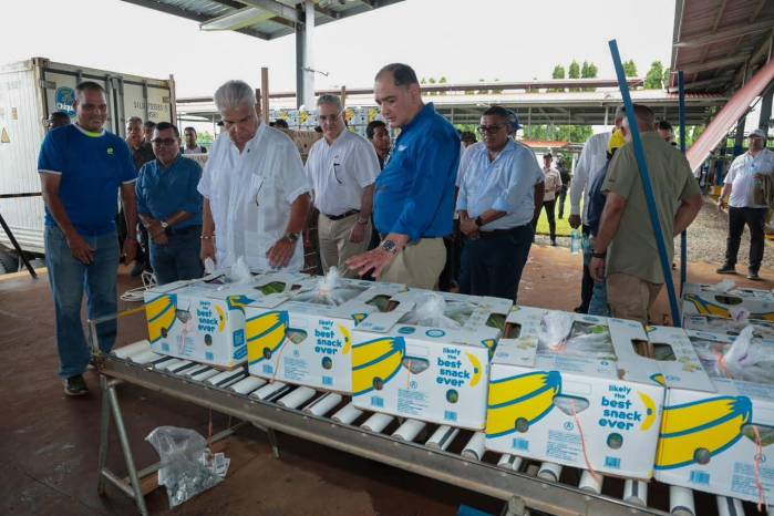 Mulino realizó este jueves un recorrido por la Finca 12 junto al CEO de Chiquita, Carlos López Flores y varios ministros de Estado.